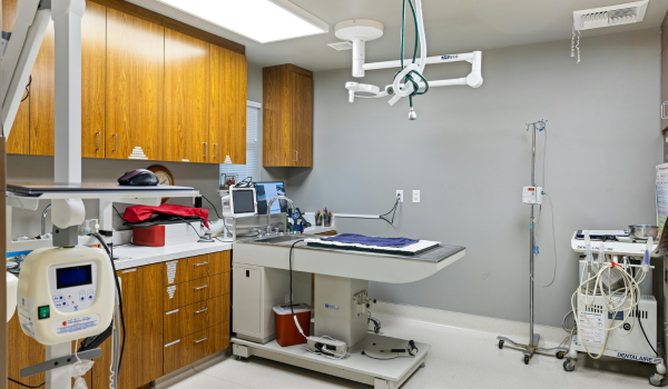 clinicas y policlinicas